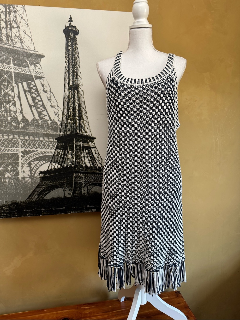 Soft Surroundings Blue and White Knit Fringe Tank Mini Dress NWT